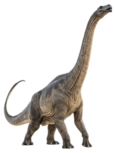 Imagen PNG para descargar